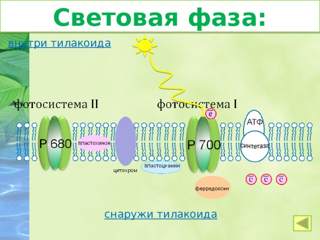 Образование органических