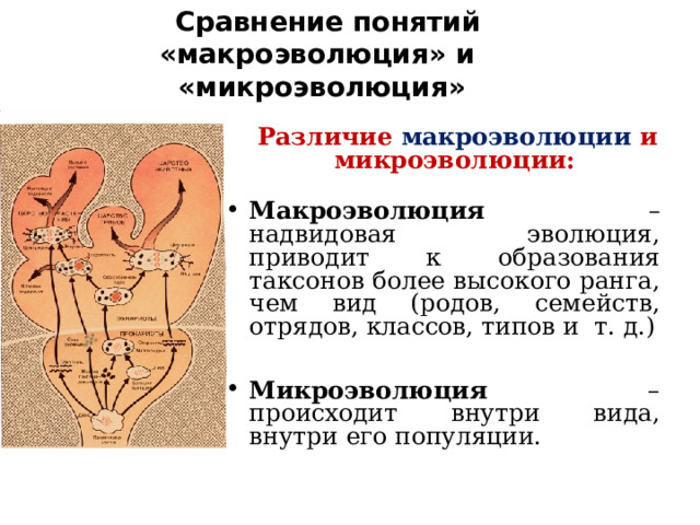  Сравнение понятий «макроэволюция» и «микроэволюция»  Различие макроэволюции и микроэволюции:  Макроэволюция – надвидовая эволюция, приводит к образования таксонов более высокого ранга, чем вид (родов, семейств, отрядов, классов, типов и т. д.)  Микроэволюция – происходит внутри вида, внутри его популяции.  