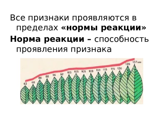 Норма реакции признака