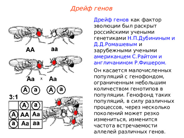 Дрейф генов