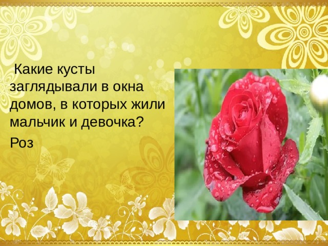 Какие кусты заглядывали в окна домов, в которых жили мальчик и девочка? Роз