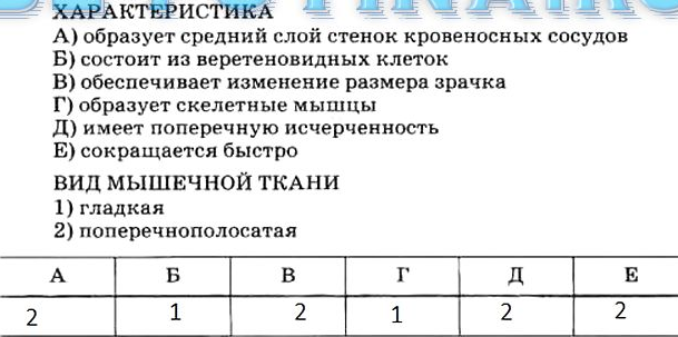 Промежуточная диагностическая работа 8 класс