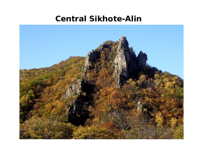 Central Sikhote-Alin 