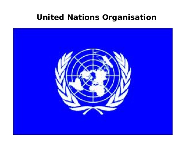 United Nations Organisation              