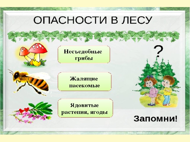 Впереди лето 3 класс презентация