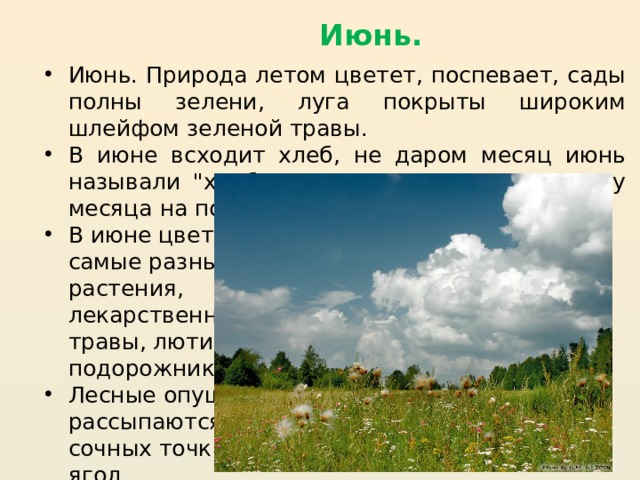 Презентация к уроку впереди лето 2 класс школа россии