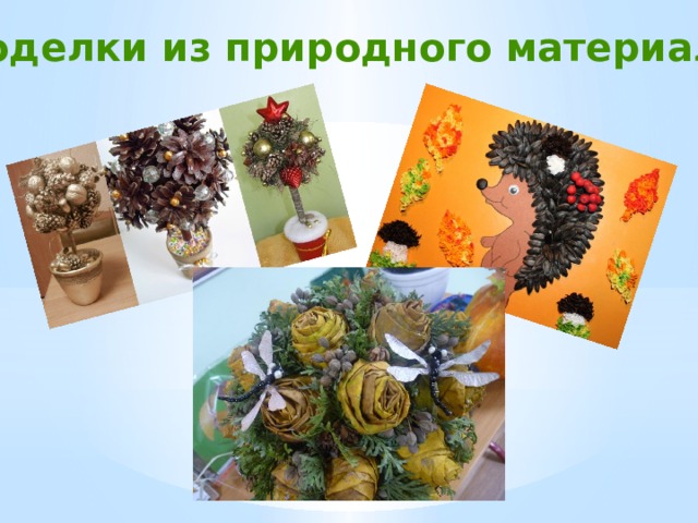 Поделки из природного материала 