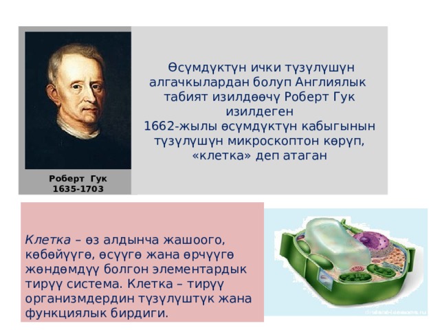  Өсүмдүктүн ички түзүлүшүн алгачкылардан болуп Англиялык табият изилдөөчү Роберт Гук изилдеген 1662-жылы өсүмдүктүн кабыгынын түзүлүшүн микроскоптон көрүп, «клетка» деп атаган Роберт Гук 1635-1703  Клетка – өз алдынча жашоого, көбөйүүгө, өсүүгө жана өрчүүгө жөндөмдүү болгон элементардык тирүү система. Клетка – тирүү организмдердин түзүлүштүк жана функциялык бирдиги. 