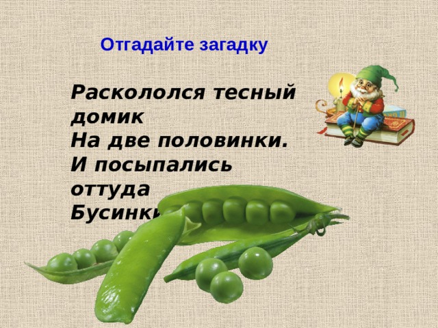 Отгадайте загадку Раскололся тесный домик На две половинки. И посыпались оттуда Бусинки-дробинки. 