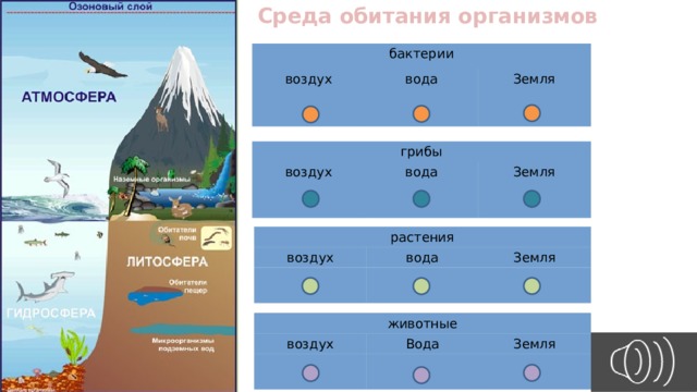 Среда обитания организмов бактерии воздух вода Земля грибы воздух вода Земля растения воздух вода Земля животные воздух Вода Земля 