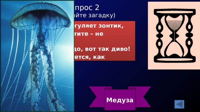 Вопрос 2  (отгадайте загадку) По волнам гуляет зонтик, Если встретите – не троньте! Вот так чудо, вот так диво! Зонтик жжется, как крапива Медуза 