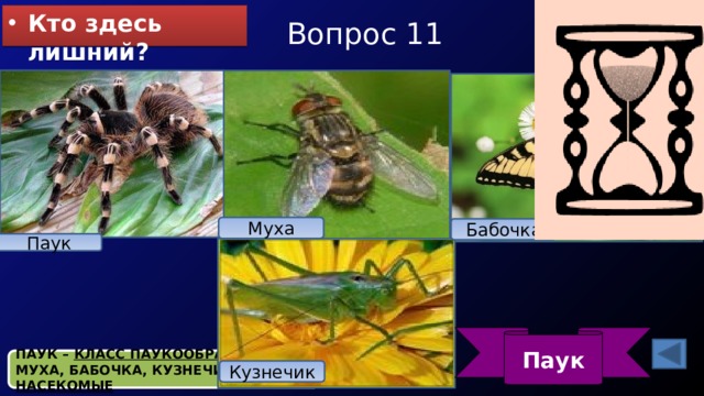 Вопрос 11 Кто здесь лишний? Муха Бабочка Паук Паук ПАУК – КЛАСС ПАУКООБРАЗНЫХ МУХА, БАБОЧКА, КУЗНЕЧИК – КЛАСС НАСЕКОМЫЕ Кузнечик 