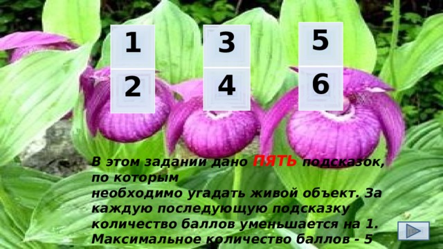 5 6 1 3 2 4 В этом задании дано ПЯТЬ подсказок, по которым необходимо угадать живой объект. За каждую последующую подсказку количество баллов уменьшается на 1. Максимальное количество баллов - 5 