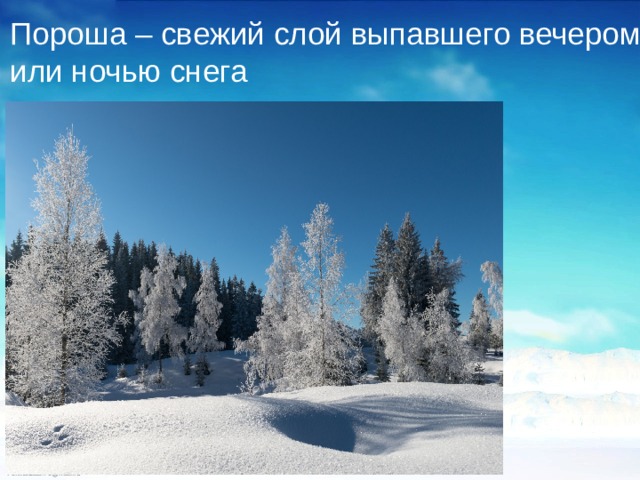 Пороша – свежий слой выпавшего вечером или ночью снега 