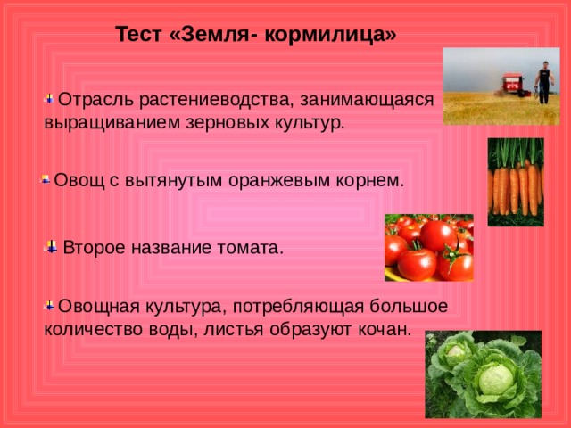 Овощные культуры требование к почвам