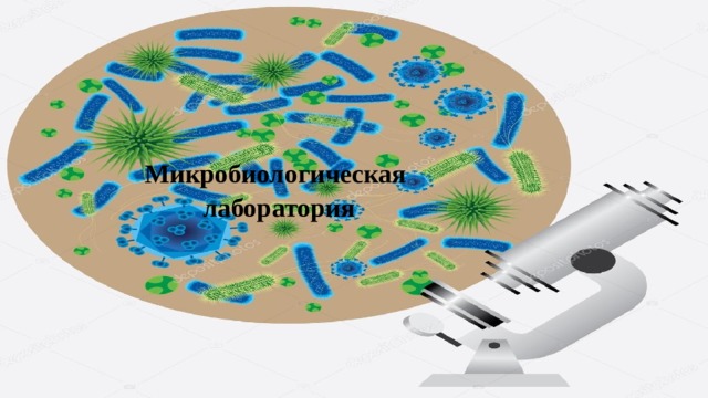 Микробиологическая лаборатория 