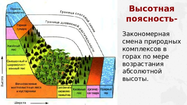 Высотная поясность- Закономерная смена природных комплексов в горах по мере возрастания абсолютной высоты.  