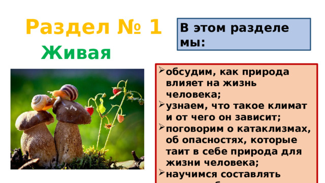 Раздел № 1 В этом разделе мы: Живая природа обсудим, как природа влияет на жизнь человека; узнаем, что такое климат и от чего он зависит; поговорим о катаклизмах, об опасностях, которые таит в себе природа для жизни человека; научимся составлять правила безопасного поведения. 