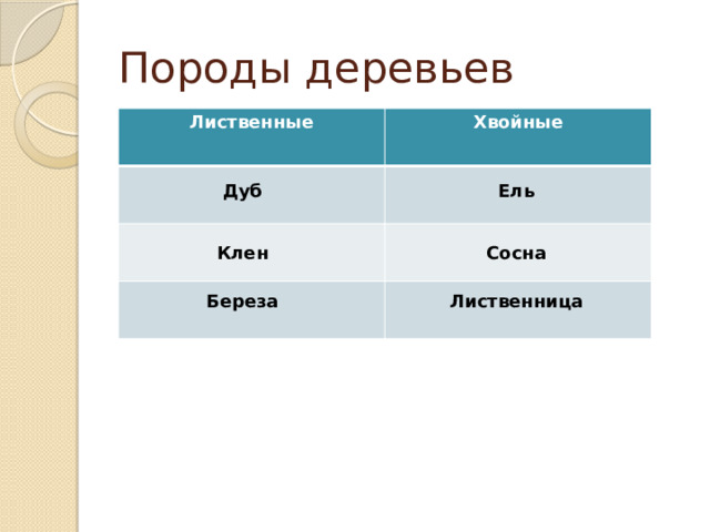 Породы деревьев Лиственные Хвойные Дуб Ель Сосна Клен Береза Лиственница 