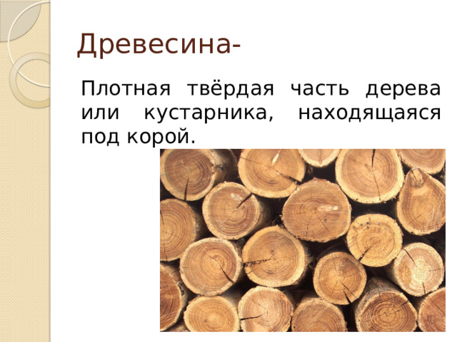 Древесина- Плотная твёрдая часть дерева или кустарника, находящаяся под корой. 