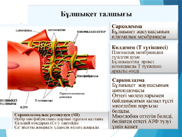 Автомобиль құрылысы кітап