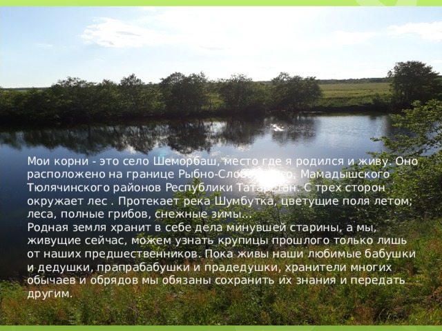 Мои корни - это село Шеморбаш, место где я родился и живу. Оно расположено на границе Рыбно-Слободского, Мамадышского Тюлячинского районов Республики Татарстан. С трех сторон окружает лес . Протекает река Шумбутка, цветущие поля летом; леса, полные грибов, снежные зимы… Родная земля хранит в себе дела минувшей старины, а мы, живущие сейчас, можем узнать крупицы прошлого только лишь от наших предшественников. Пока живы наши любимые бабушки и дедушки, прапрабабушки и прадедушки, хранители многих обычаев и обрядов мы обязаны сохранить их знания и передать другим. 