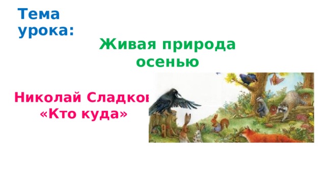 Что нового узнал зайчишка кто куда. Смотреть фото Что нового узнал зайчишка кто куда. Смотреть картинку Что нового узнал зайчишка кто куда. Картинка про Что нового узнал зайчишка кто куда. Фото Что нового узнал зайчишка кто куда