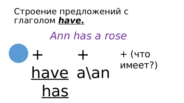 Строение предложений с глаголом have. Ann has a rose + have + a\an has + (что имеет?) 