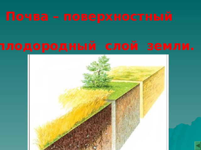  Почва – поверхностный  плодородный слой земли. 
