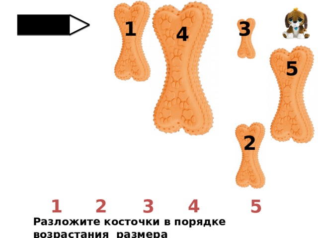 1 3 4 5 2 1 3 2 5 4 Разложите косточки в порядке возрастания размера 
