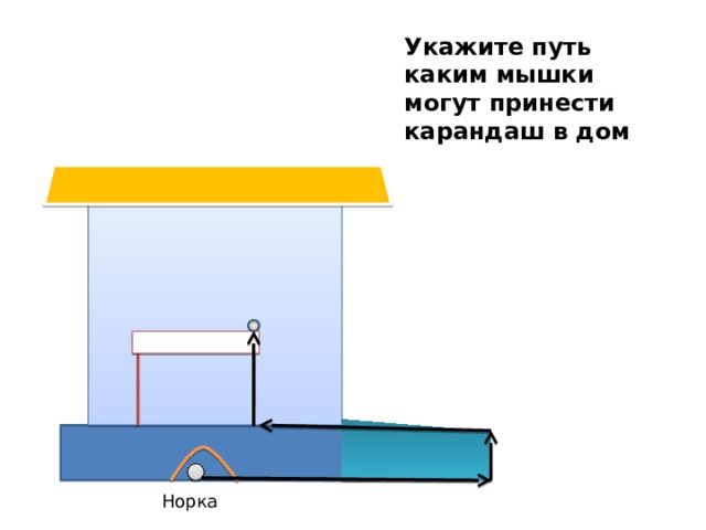 Укажите путь каким мышки могут принести карандаш в дом Норка 