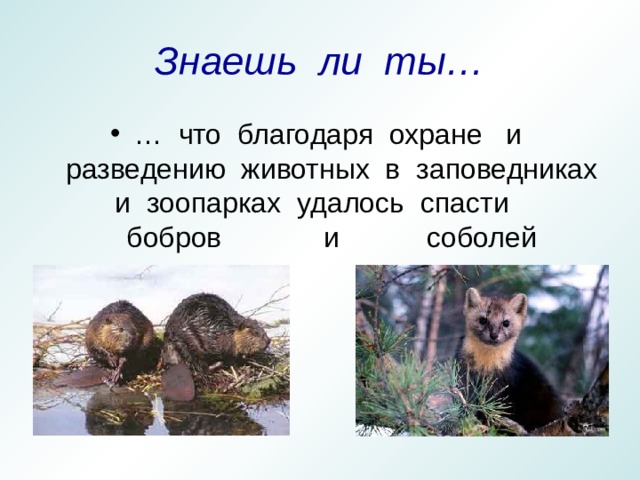 Знаешь ли ты… 