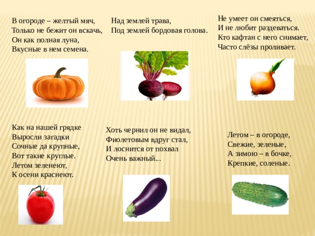 Не умеет он смеяться,  И не любит раздеваться.  Кто кафтан с него снимает,  Часто слёзы проливает. В огороде – желтый мяч,   Только не бежит он вскачь,   Он как полная луна,   Вкусные в нем семена.   Над землей трава,   Под землей бордовая голова.  Как на нашей грядке  Выросли загадки  Сочные да крупные,  Вот такие круглые.  Летом зеленеют,  К осени краснеют. Хоть чернил он не видал,   Фиолетовым вдруг стал,   И лоснится от похвал   Очень важный...   Летом – в огороде,   Свежие, зеленые,   А зимою – в бочке,   Крепкие, соленые .  