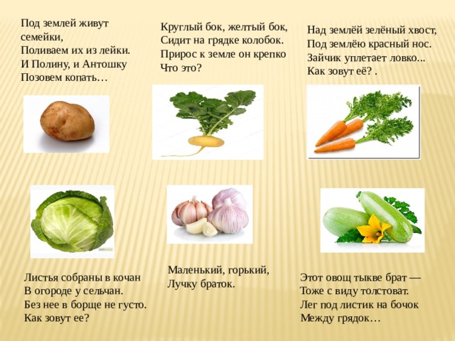 Под землей живут семейки,  Поливаем их из лейки.  И Полину, и Антошку  Позовем копать… Круглый бок, желтый бок,   Сидит на грядке колобок.  Прирос к земле он крепко   Что это? Над землёй зелёный хвост,  Под землёю красный нос.  Зайчик уплетает ловко...  Как зовут её? . Маленький, горький,  Лучку браток. Листья собраны в кочан  В огороде у сельчан.  Без нее в борще не густо.  Как зовут ее? Этот овощ тыкве брат —  Тоже с виду толстоват.  Лег под листик на бочок  Между грядок… 