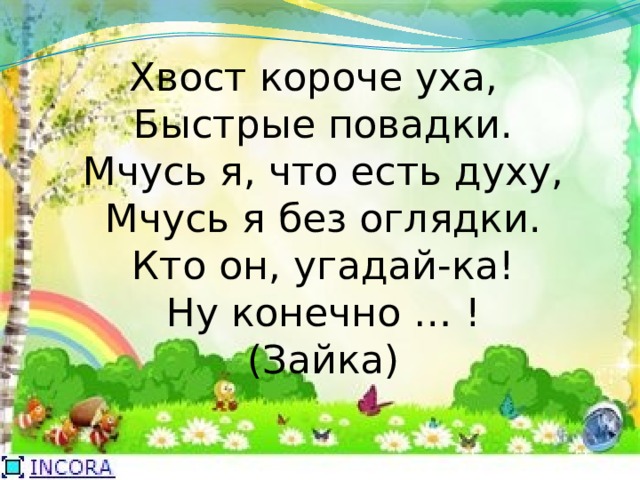 Хвост короче уха