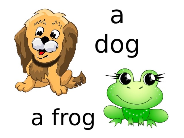 a dog a frog 