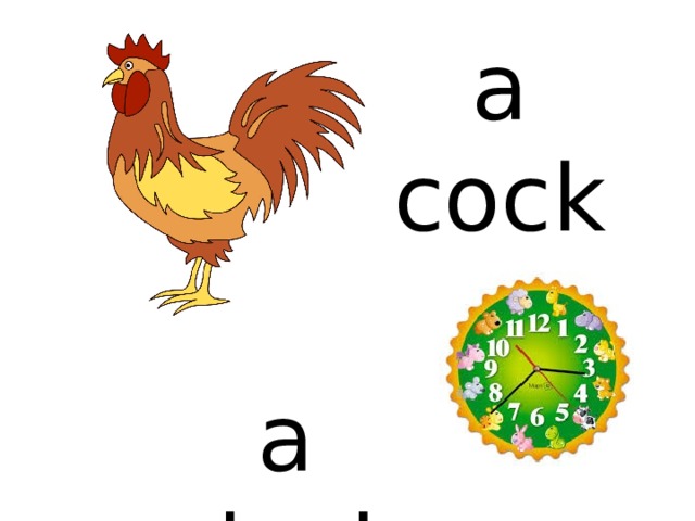 a cock a clock 