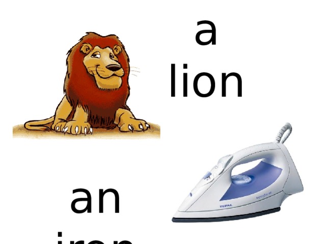 a lion an iron 