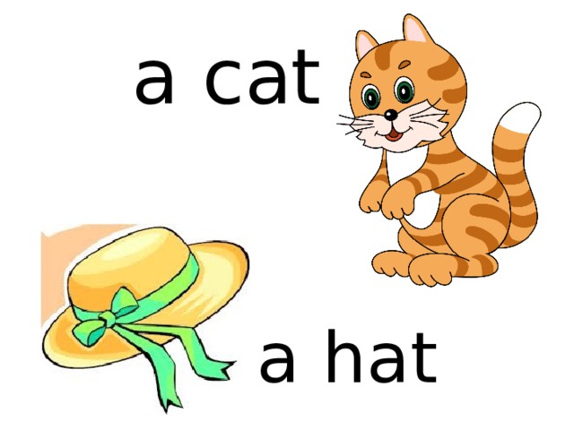 a cat a hat 