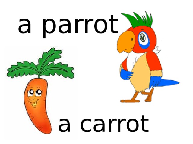 a parrot a carrot 