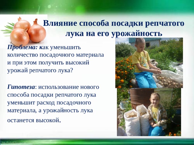 Исследовательская работа \