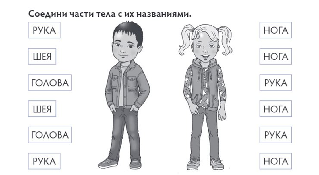 Человек 1 класс. Тело человека задания для дошкольников. Части тела человека задания. Части тела человека задания для детей. Части тела задания для дошкольников.