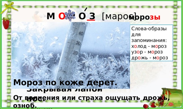 Радио мороз текст