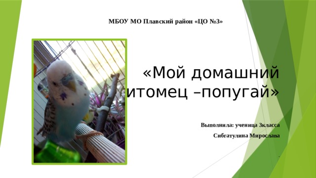 МБОУ МО Плавский район «ЦО №3» «Мой домашний питомец –попугай» Выполнила: ученица 3класса  Сибгатулина Мирослава . 