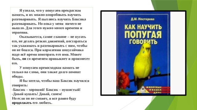  Я узнала, что у попугаев прекрасная память, и их можно попробовать научить  разговаривать.  Я пытаюсь научить Баксика разговаривать. Но  пока у меня ничего не вышло. Для этого нужно много времени и  терпения.  Оказывается, самое главное – не пугать его, не  делать резких движений, постараться так ухаживать и  разговаривать с ним, чтобы он не боялся. При кормлении  попугайчика надо всё время повторять его имя. Может быть, он со временем привыкнет и произнесет его.   У попугаев превосходная  память не только на слова, они также долго помнят обиды.   Я бы хотела, чтобы наш Баксик научился  говорить:  -Баксик – хороший! Баксик – пушистый!  -Давай кушать! Давай, споем!  Но если он не сможет, я все равно буду продолжать его любить. 