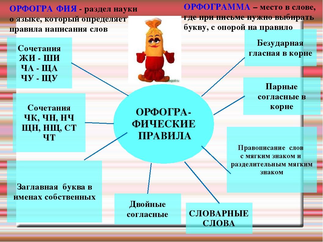 Примеры 4 орфограммы. Что такое орфограмма 2 класс русский язык правило. Орфограмма 3 класс примеры. Орфограммы 2 класс. Орфограммы 1 класс.