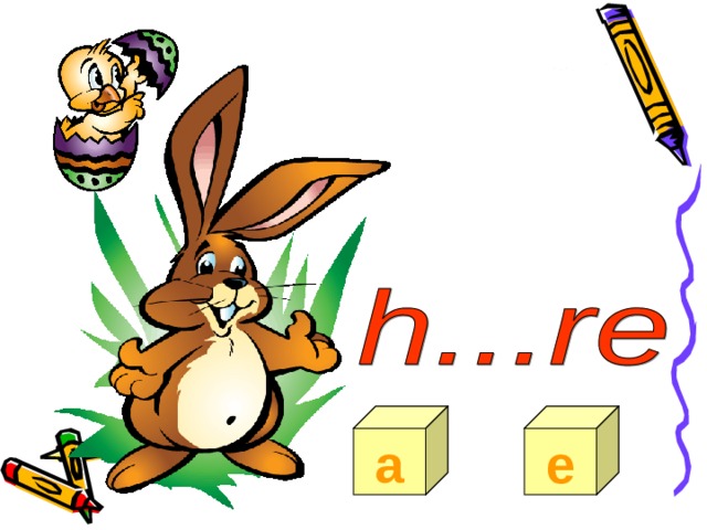 a e 