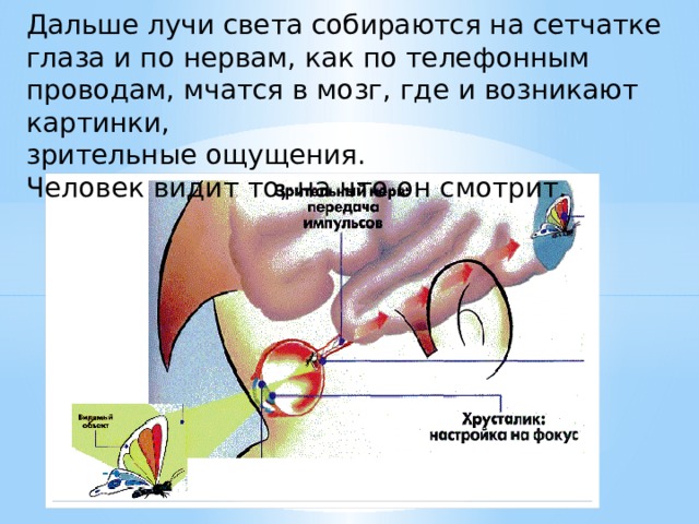 Как возникает изображение