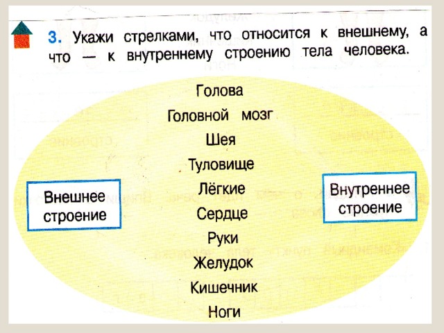 Презентация проектов 4 класс окружающий мир конспект урока