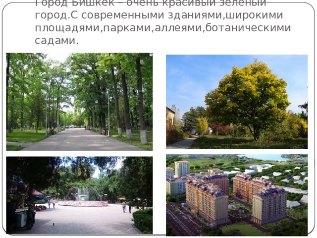 Город Бишкек – очень красивый зеленый город.С современными зданиями,широкими площадями,парками,аллеями,ботаническими садами. 